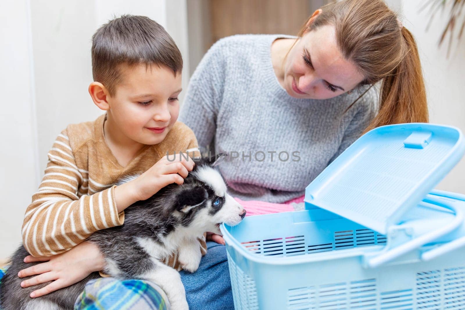 A little boy and his mother get out puppy from box at home. New family member