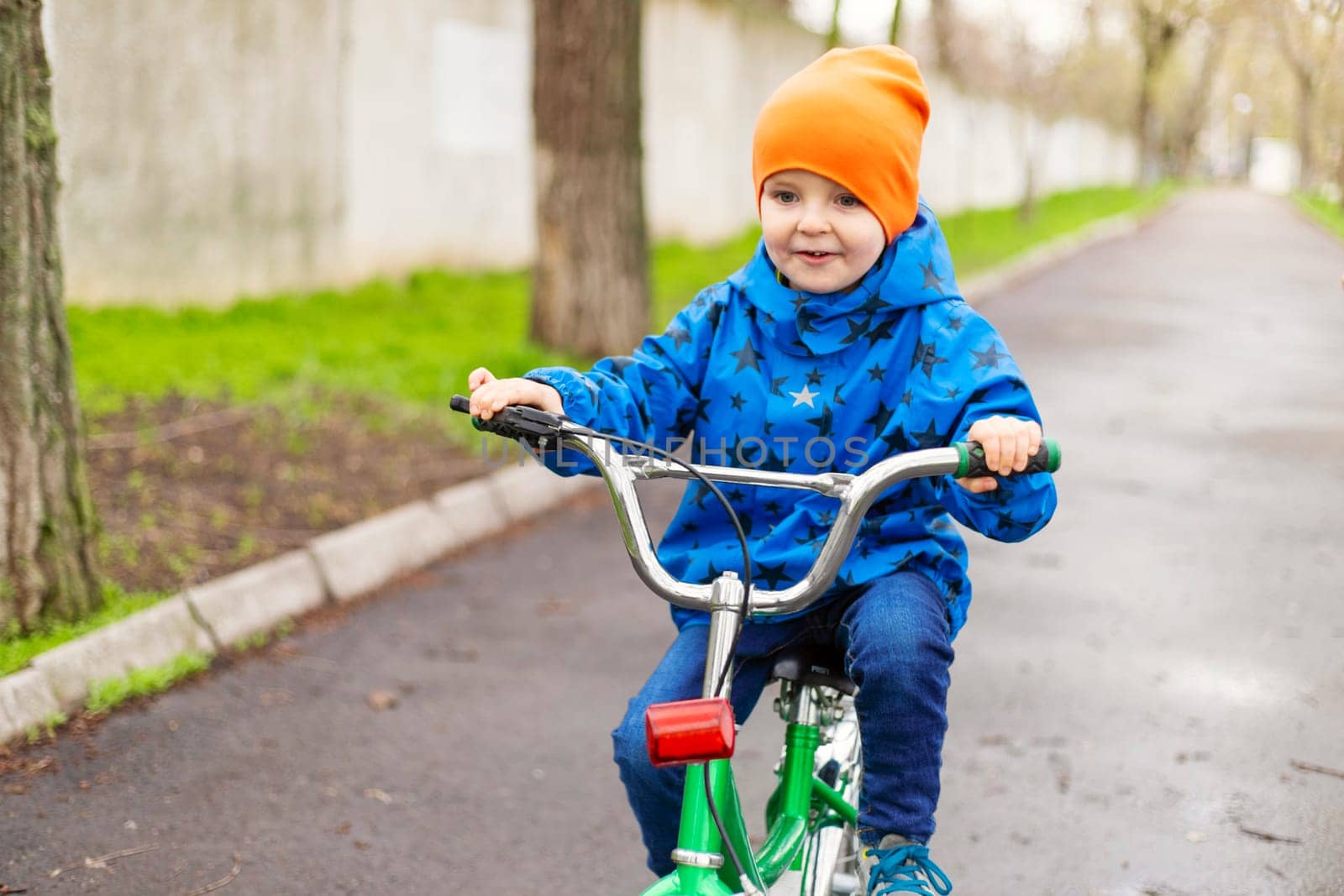 Cute little preschool kid boy riding on bicycle in park. Learning to ride a bike concept