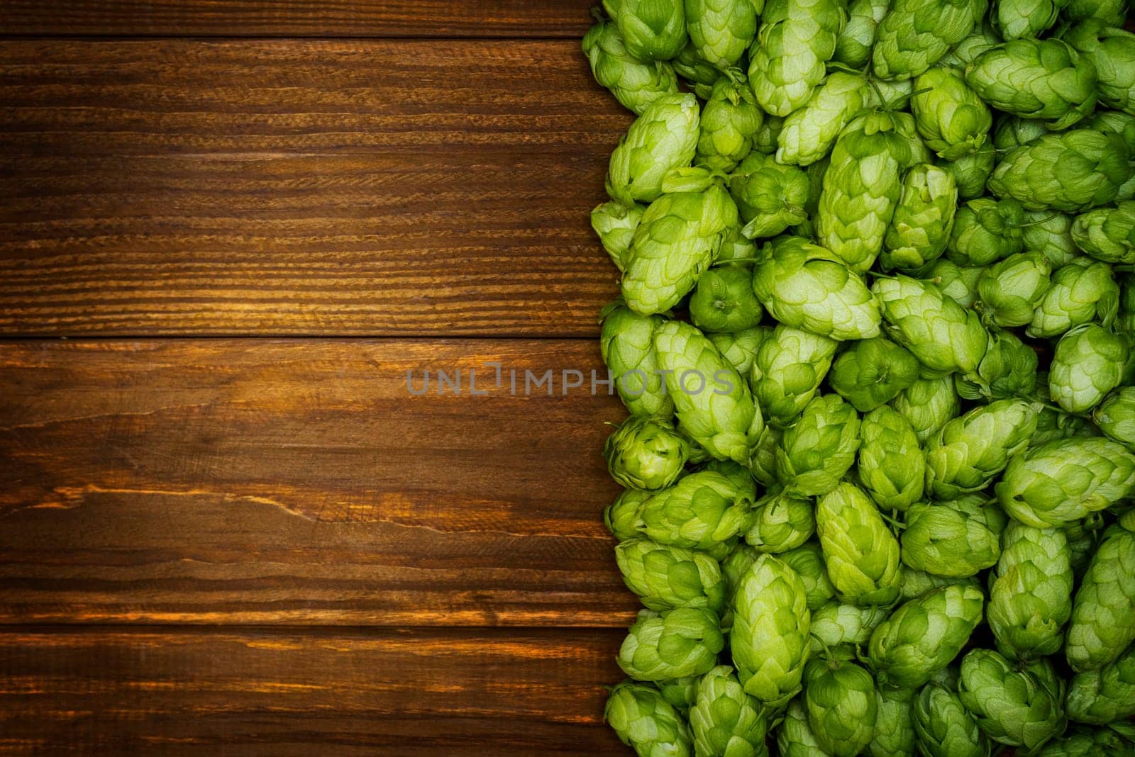 Beer brewing ingredients, green hop cones on a wooden table with space for your object or text. Beer brewery concept