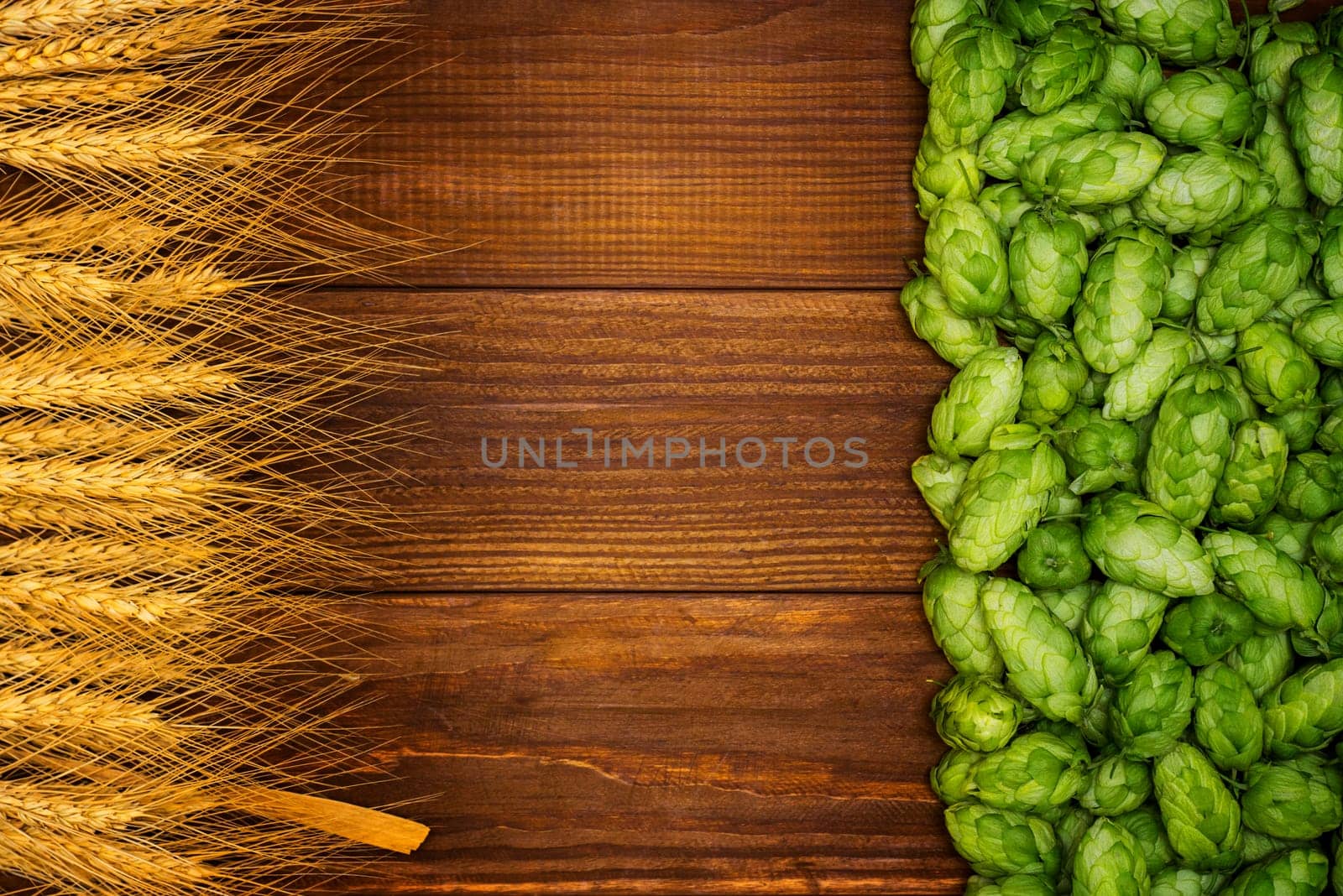 Beer brewing ingredients, green hop cones, and golden wheat ears on wooden table by andreyz