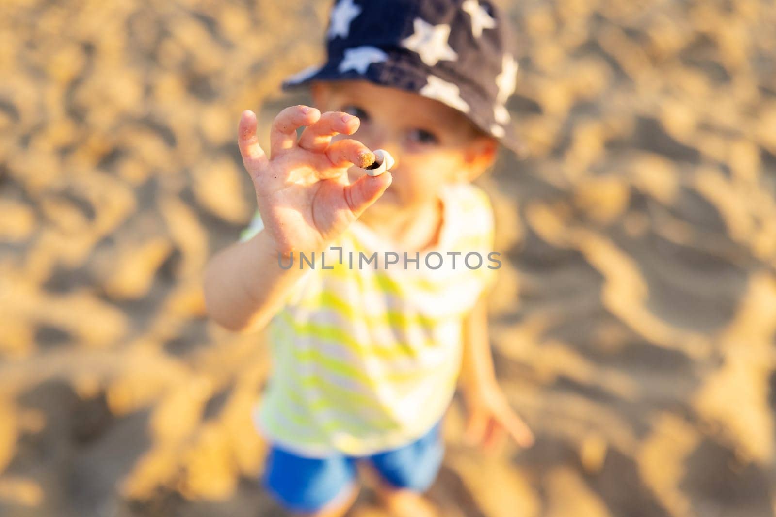 Child holding sea shell on the beach by the sea.