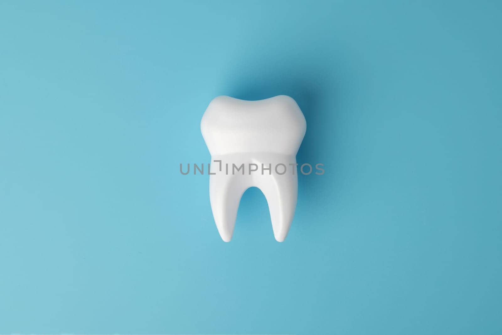 White healthy tooth model on blue background with copy space. Dental care and healthcare concept. Oral care, restoration of teeth