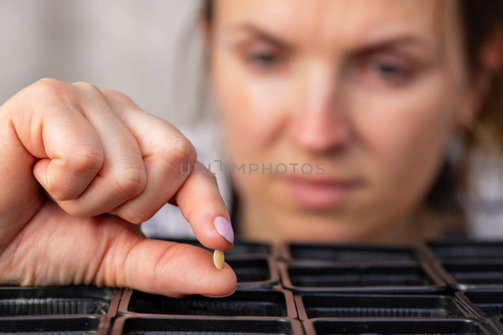 Woman carefully planting vegetable seeds into pots with fertile soil, closeup. Vegetables growing