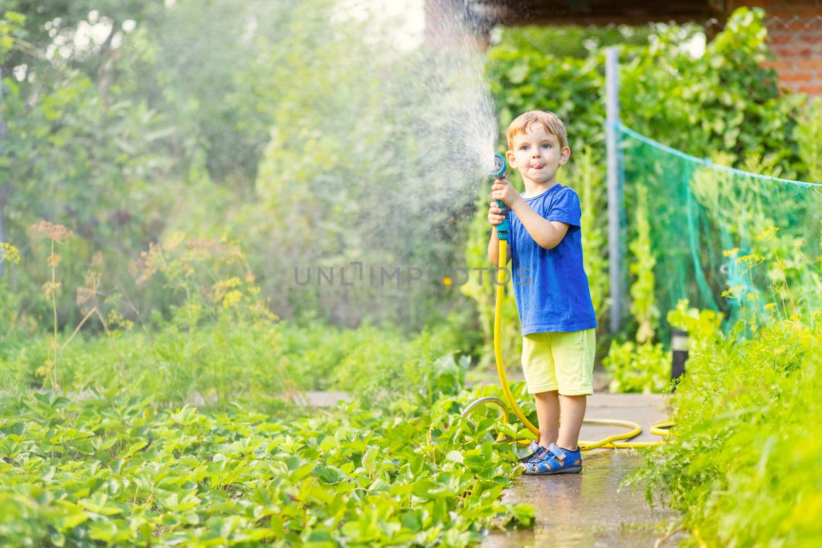 Child watering flowers and plants in garden. Kid with water hose in sunny blooming backyard. Little boy gardening. Children help parents