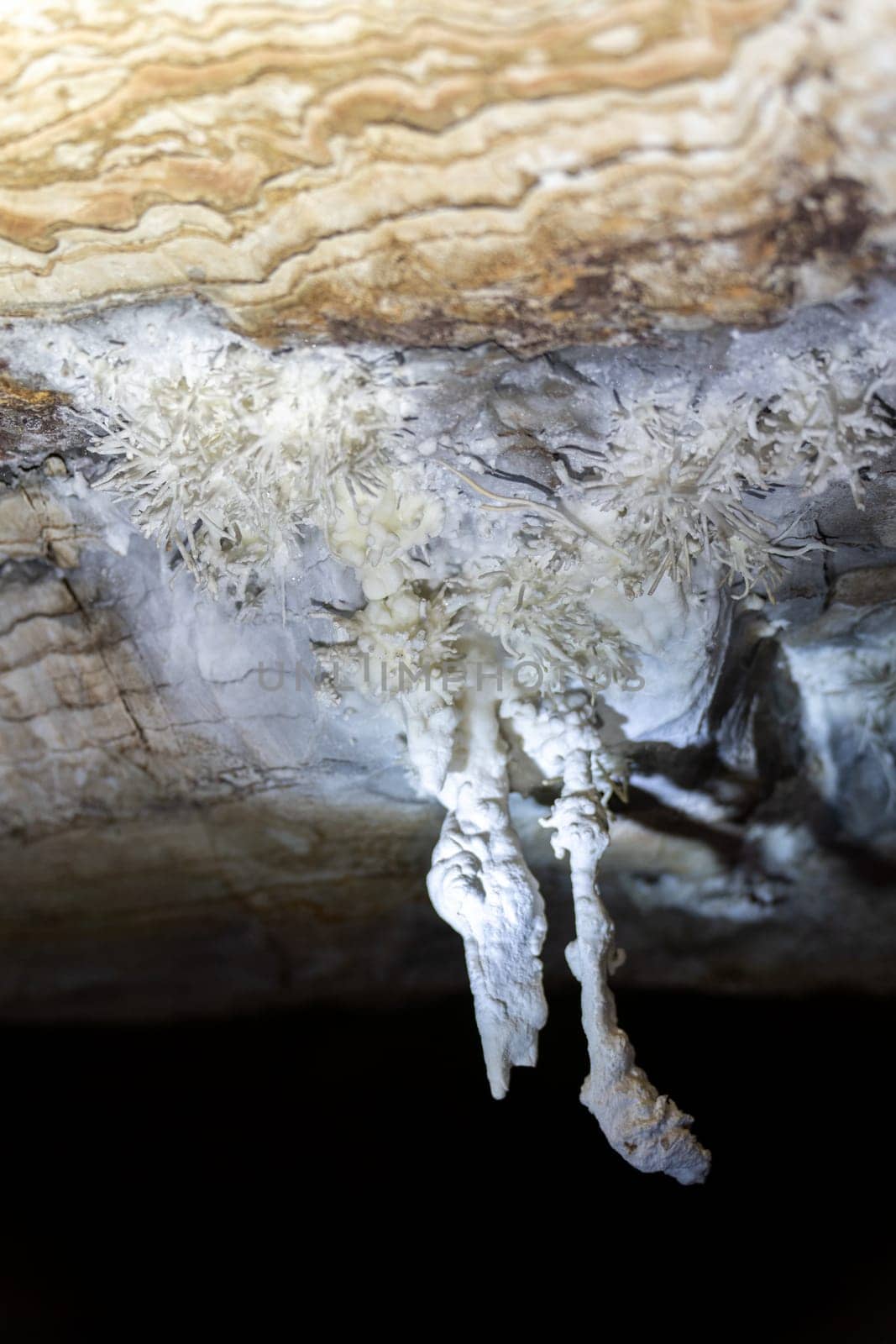 Pristine white stalactites against layered rock in a cave.