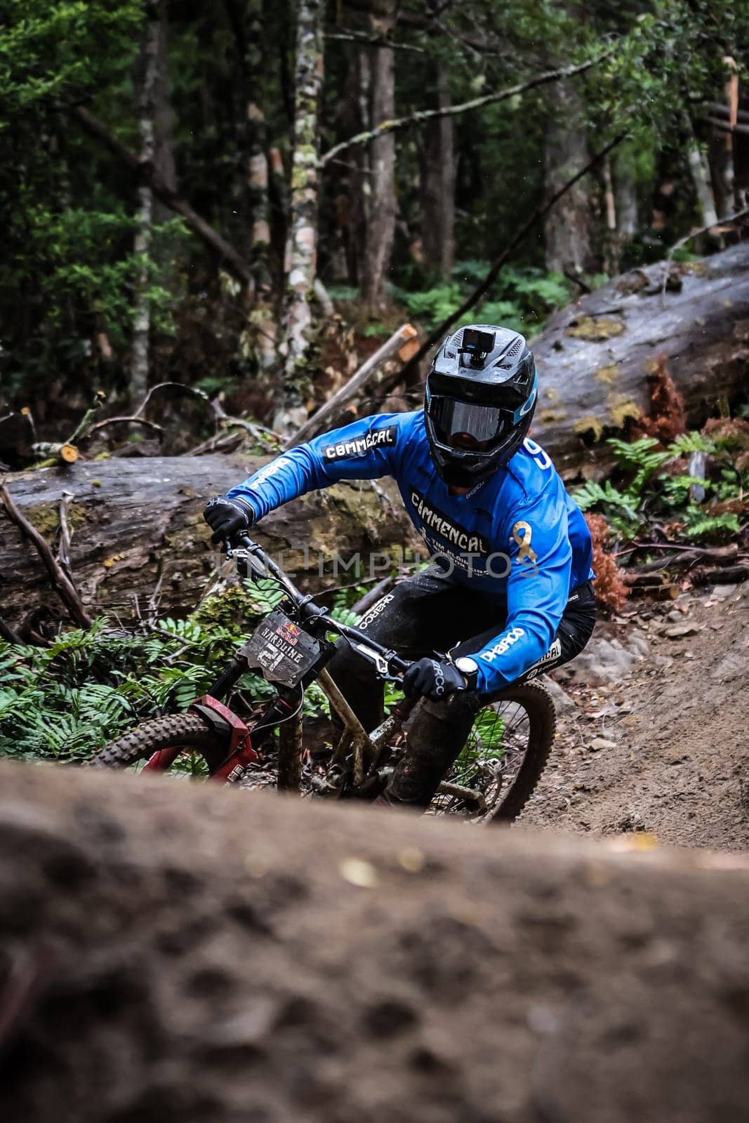 2024 Red Bull Hardline Tasmania - Seeding by FiledIMAGE