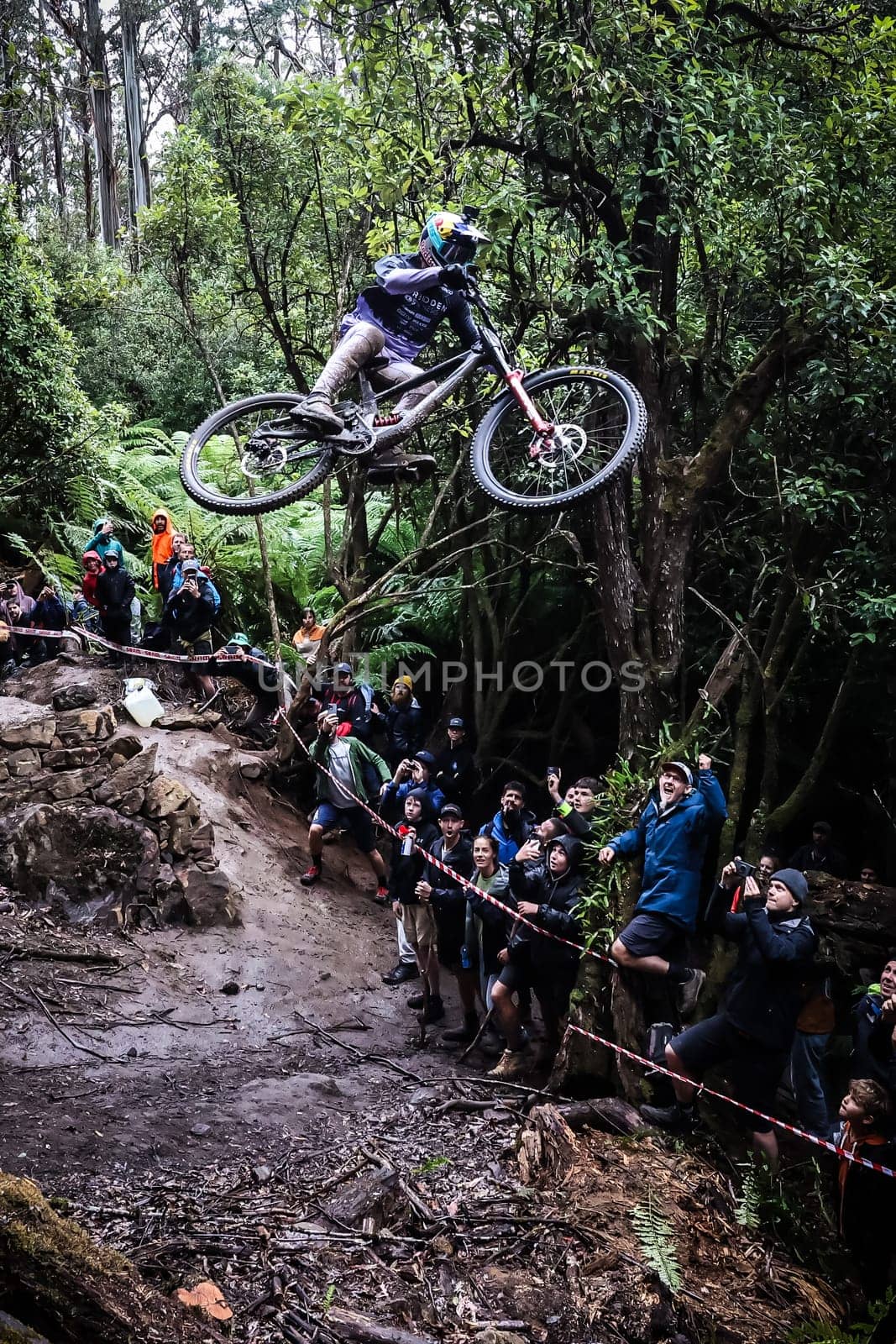 2024 Red Bull Hardline Tasmania - Seeding by FiledIMAGE