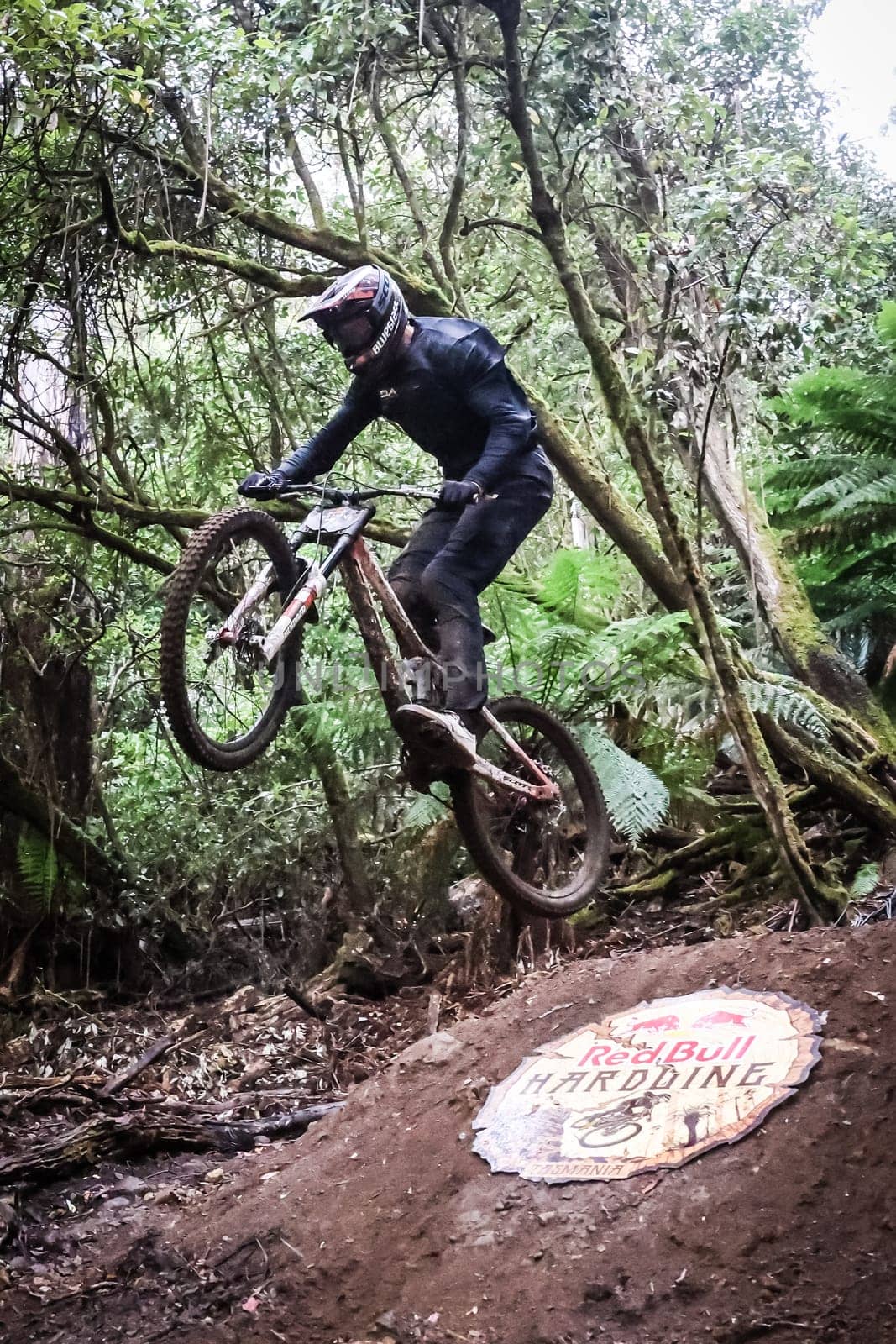 MAYDENA, AUSTRALIA - FEBRUARY 23: Vincent Tupin of France during seeding in Red Bull Hardline Tasmania on February 23, 2024 in Maydena, Australia.