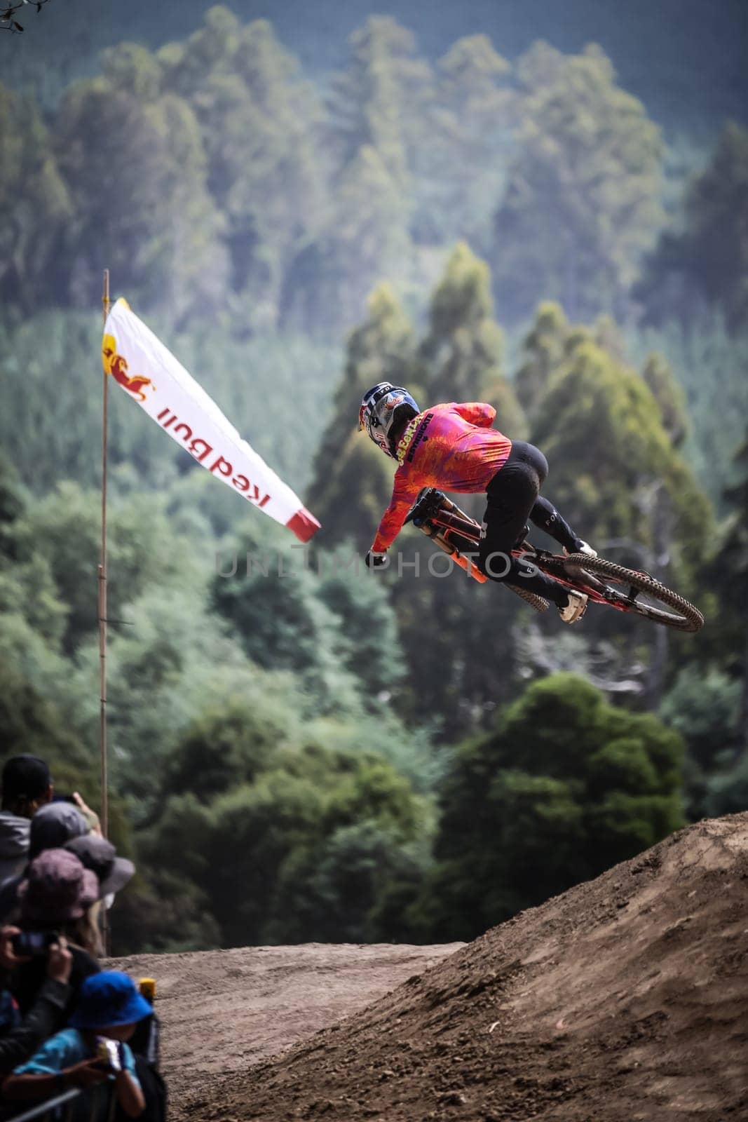 MAYDENA, AUSTRALIA - FEBRUARY 24: Laurie Greenland of Great Britain during final practice at Red Bull Hardline Tasmania on February 24, 2024 in Maydena, Australia.