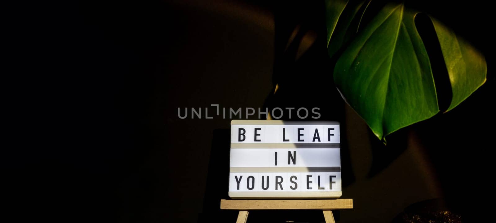 Caption saying BE LEAF believe IN YOURSELF Indoors garden healthy space biophilia design. Joke quote humor Monstera house plant with sunset lamp light. Creative minimalistic by anna_stasiia