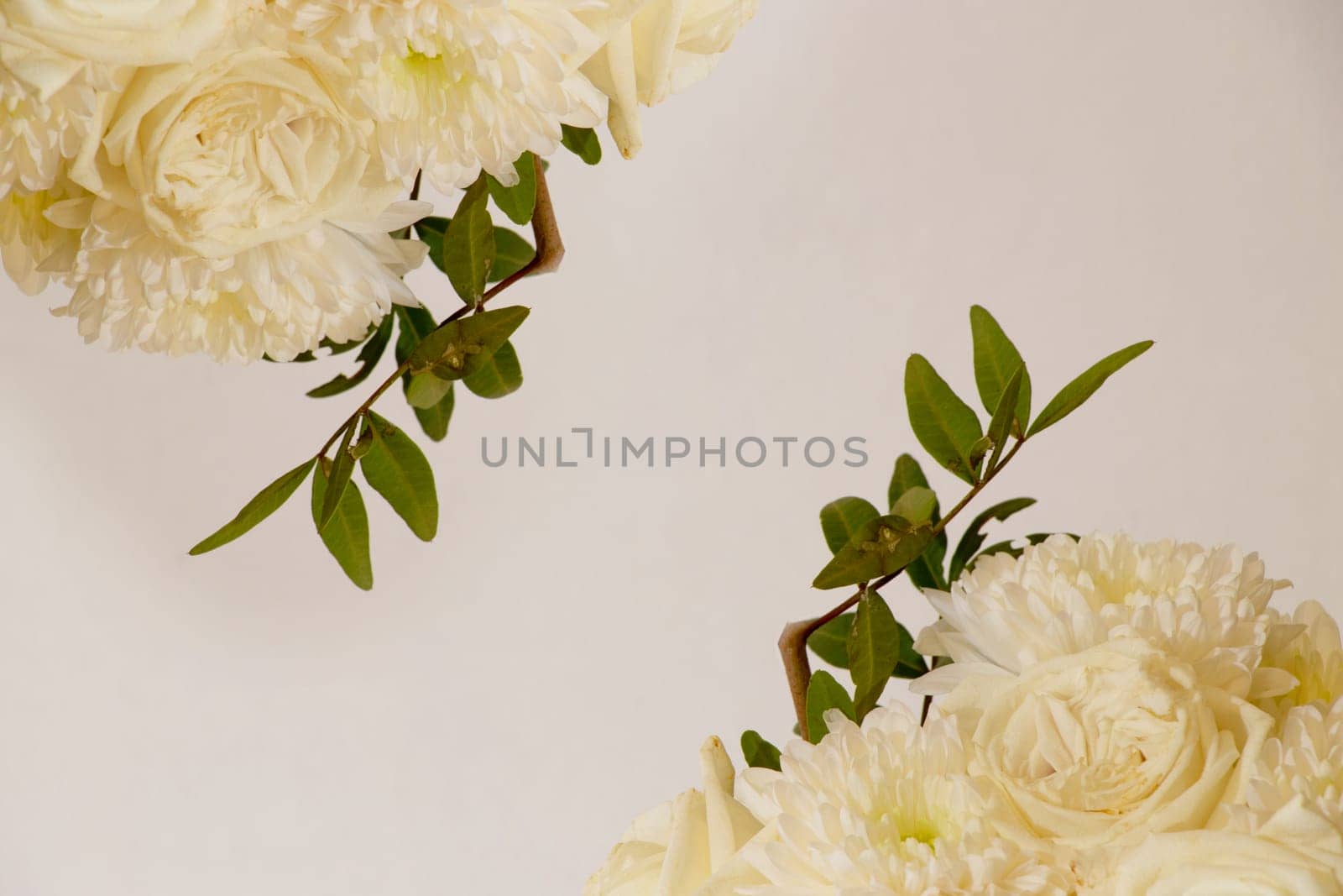 card with white roses and a green branch on a white background. toned image, vintage by Leoschka