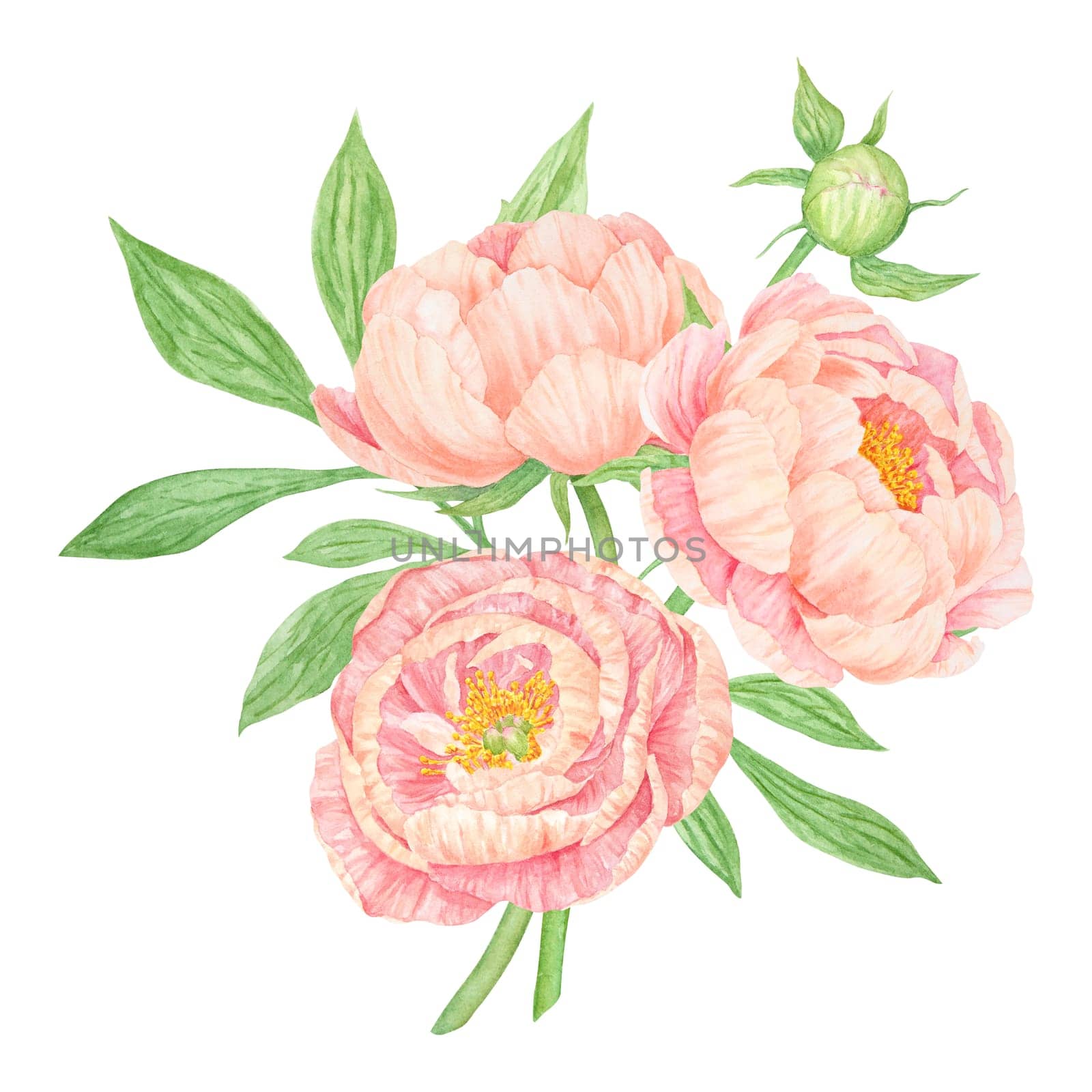 Peach peony bouquet watercolor hand drawn painting. Chinese national symbol illustration. Realistic flower clipart, floral arrangement for card design, wedding invitation, prints, textile, packing by florainlove_art