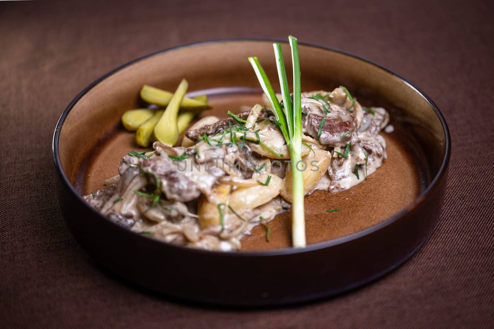 Beef Stew with Mushrooms and Sour Cream and Pickles on Plate by Pukhovskiy