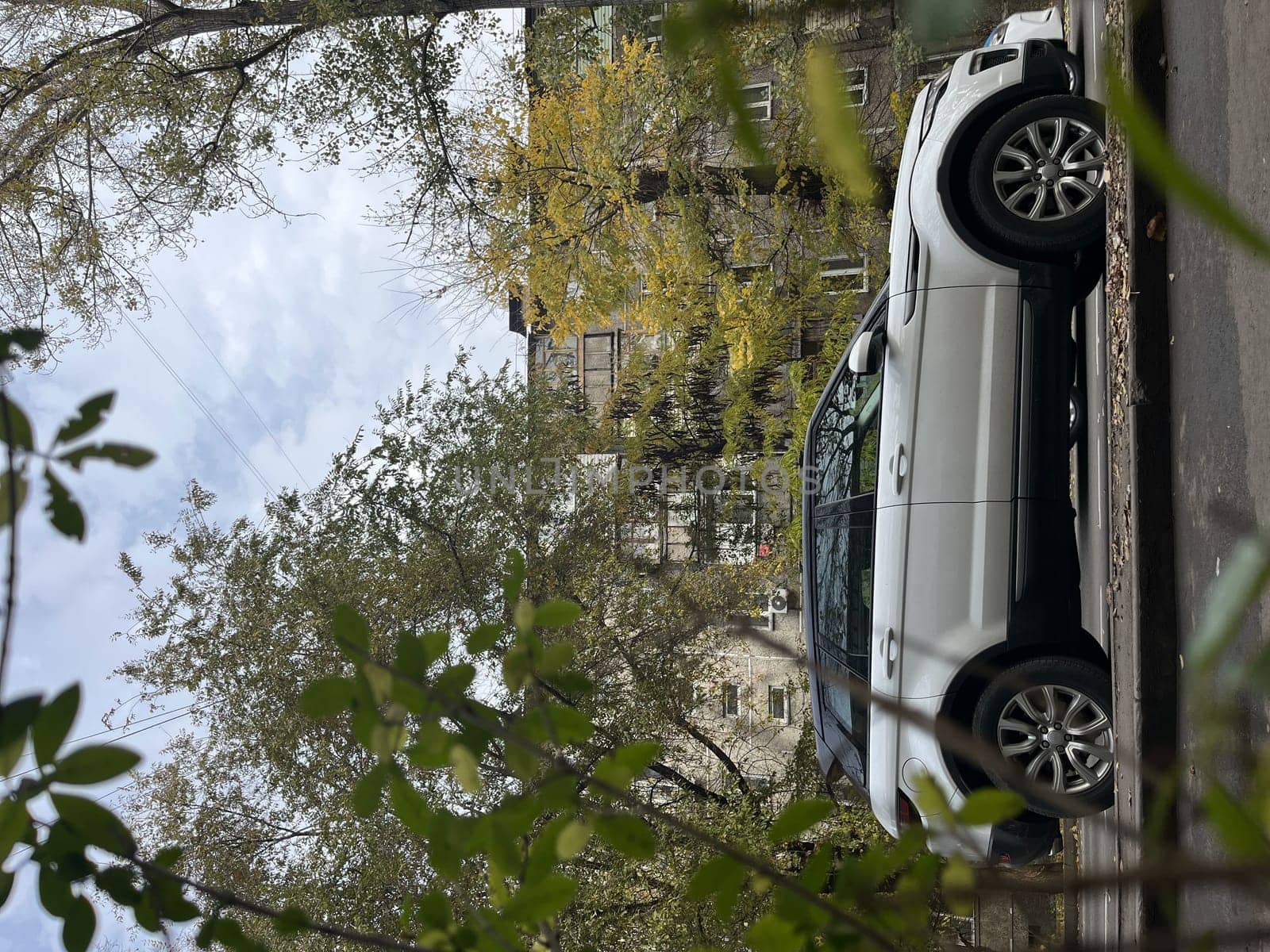 White luxury SUV parked on city street with fall foliage. Sleek design, blacked-out wheels, beautiful backdrop.