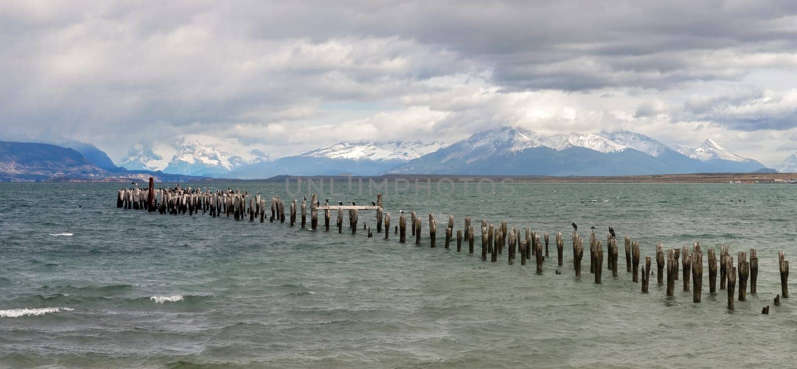 Birds on old posts under cloudy skies with snow-capped mountains.