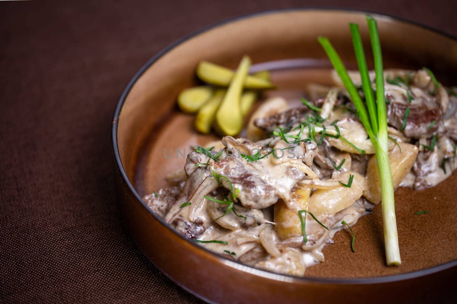 Indulge in a flavorful beef stew with mushrooms, sour cream, and tangy pickles on the side, a comforting and satisfying meal to savor.