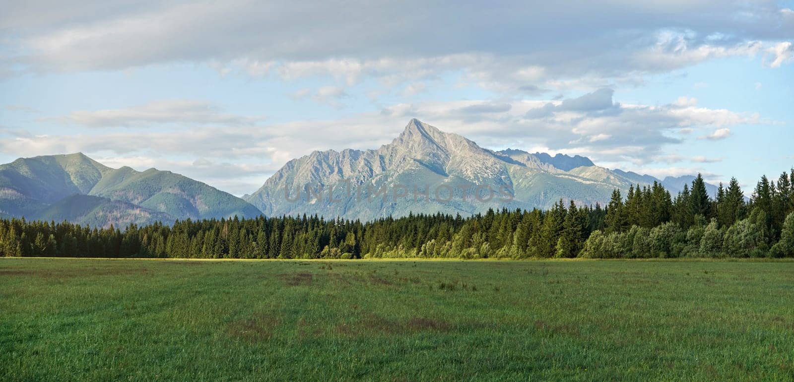Summer meadow panorama, with forest and mount Krivan (Slovak symbol) peak in distance, afternoon clouds above by Ivanko