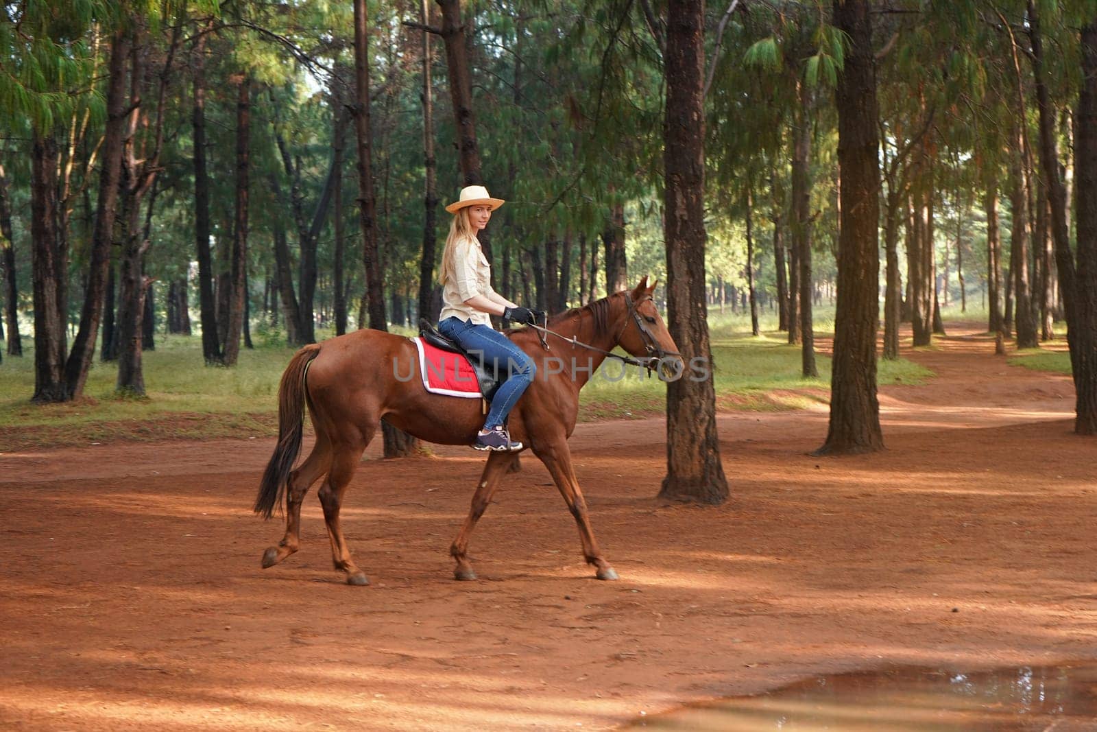 Young woman in shirt and straw hat, rides brown horse in the park by Ivanko