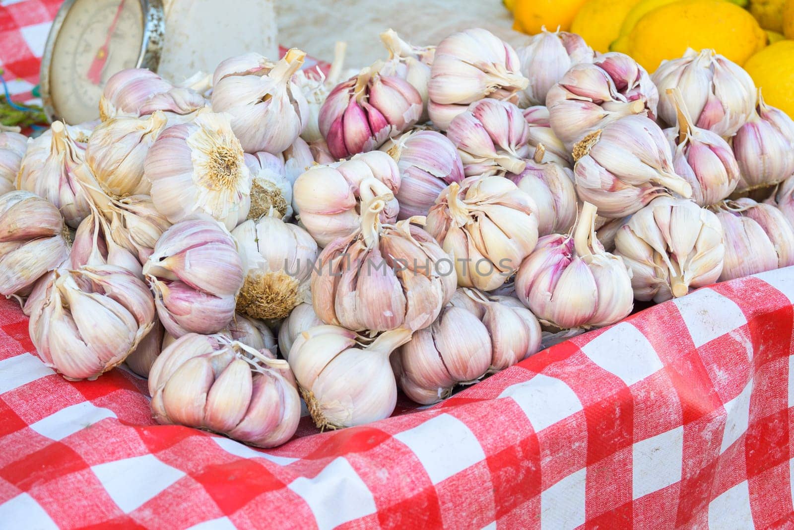 a pile of garlic shoots used in spanish and catalan cuisine.