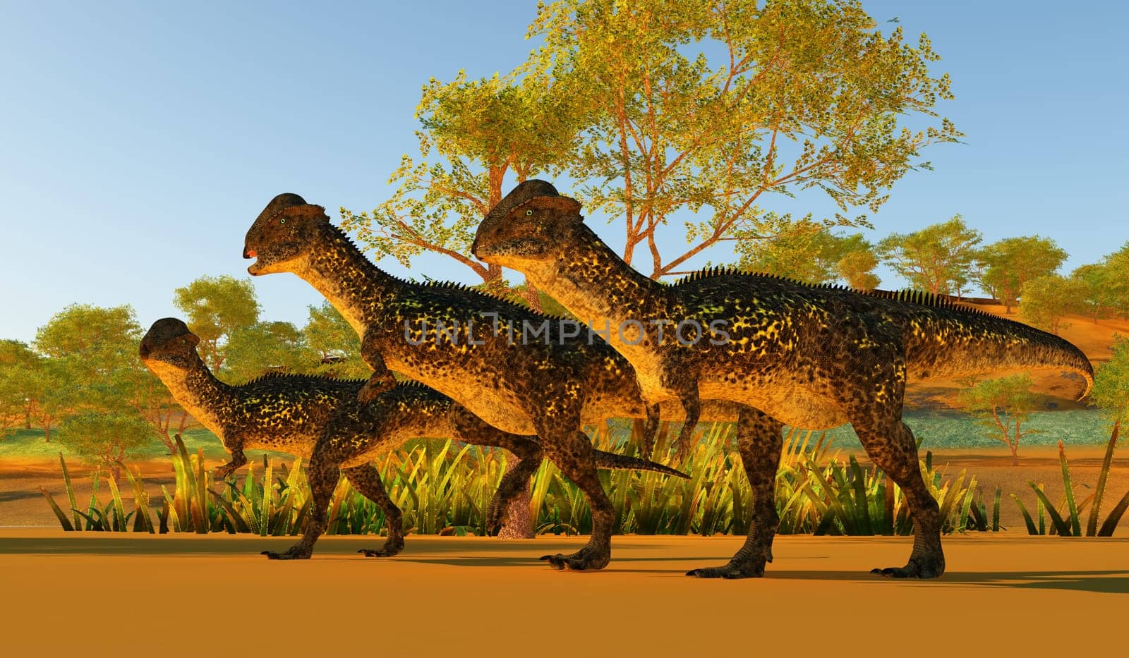 Stegoceras Dinosaurs by Catmando