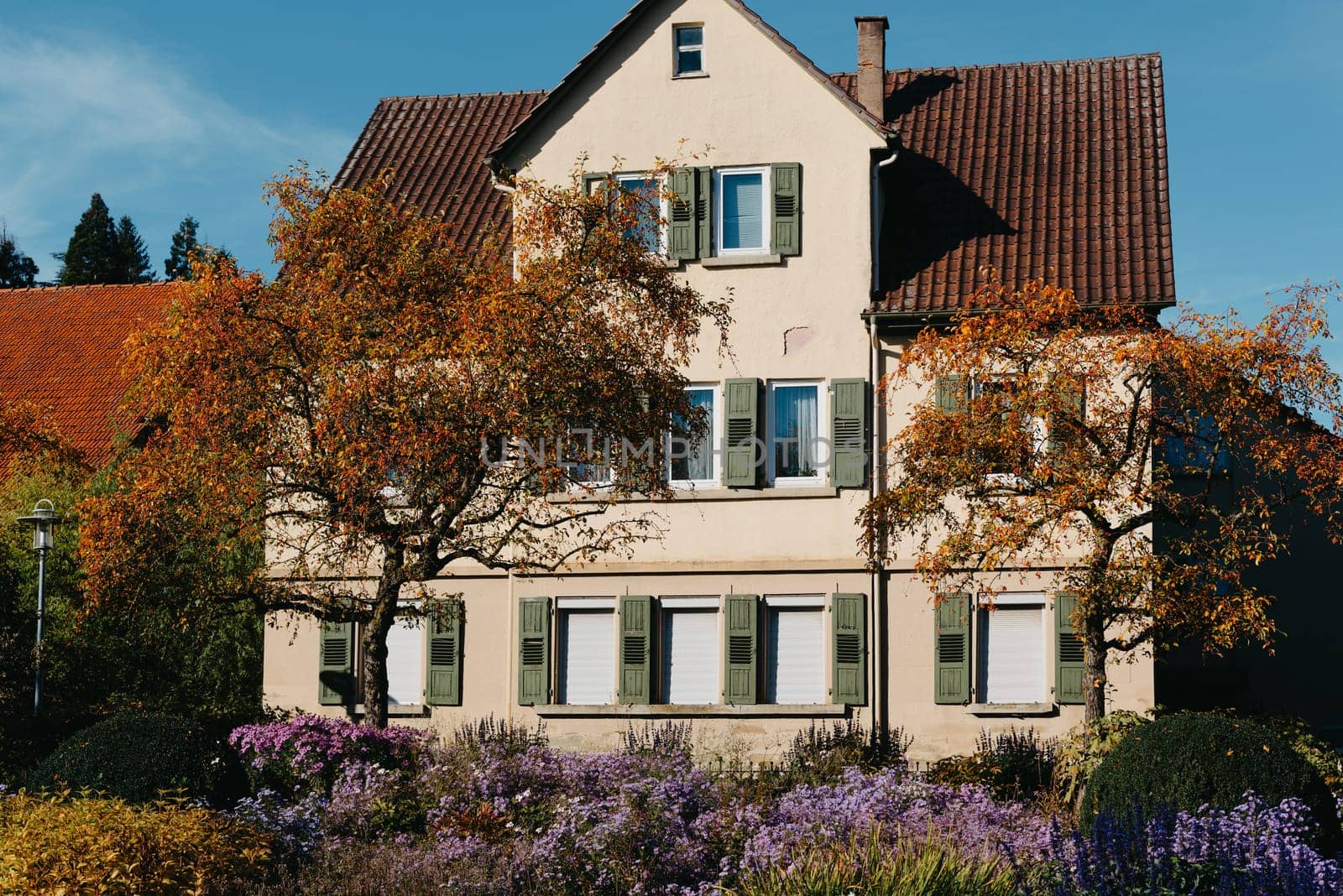 House with nice garden in fall. Flowers in the City Park of Bietigheim-Bissingen, Baden-Wuerttemberg, Germany, Europe. Autumn Park and house, nobody, bush and grenery by Andrii_Ko