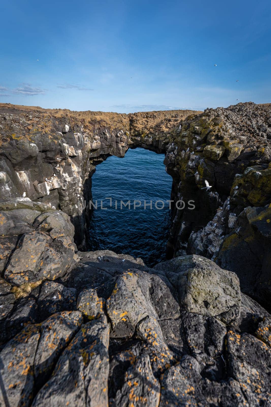 Vertical image of Arnarstapi arch without people, Iceland