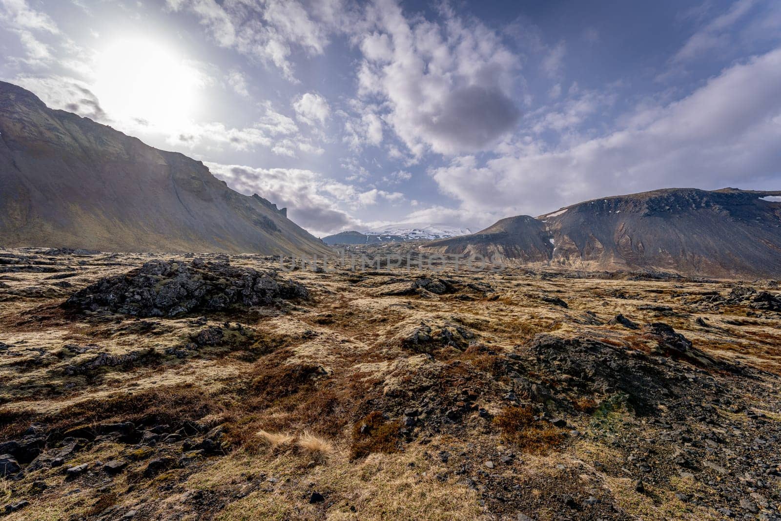 Lava fields near Arnarstapi in Iceland by LopezPastor