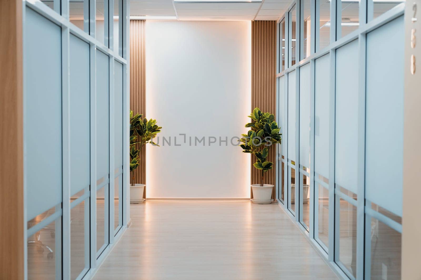 Empty modern office bright corridor with glass wall. Long white modern office hallway. No businesspeople. Many glass wall and doors. White bright empty workplace corridor background. Ornamented.