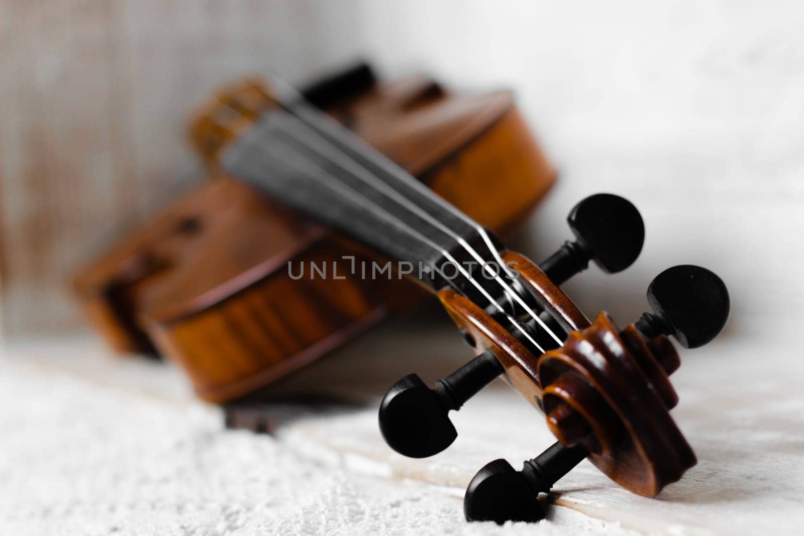 violin - an orchestral or solo professional bowed musical instrument with four strings. loved by children and adults. used in classical folk popular and jazz music by Costin