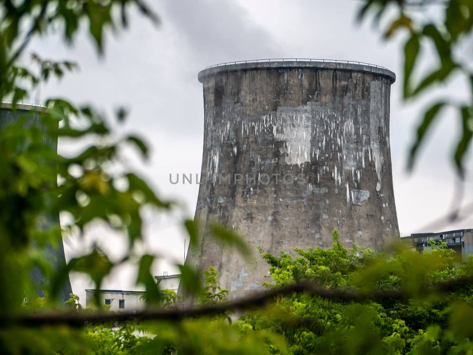 Cooling towers of the power plant behind the branches of trees