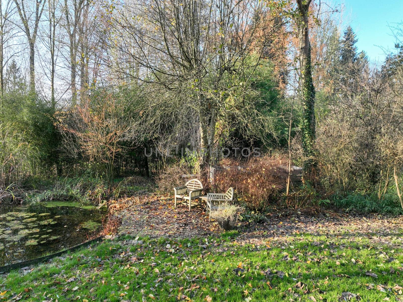 English green garden with water pound and multiple type of trees and plants during winter season