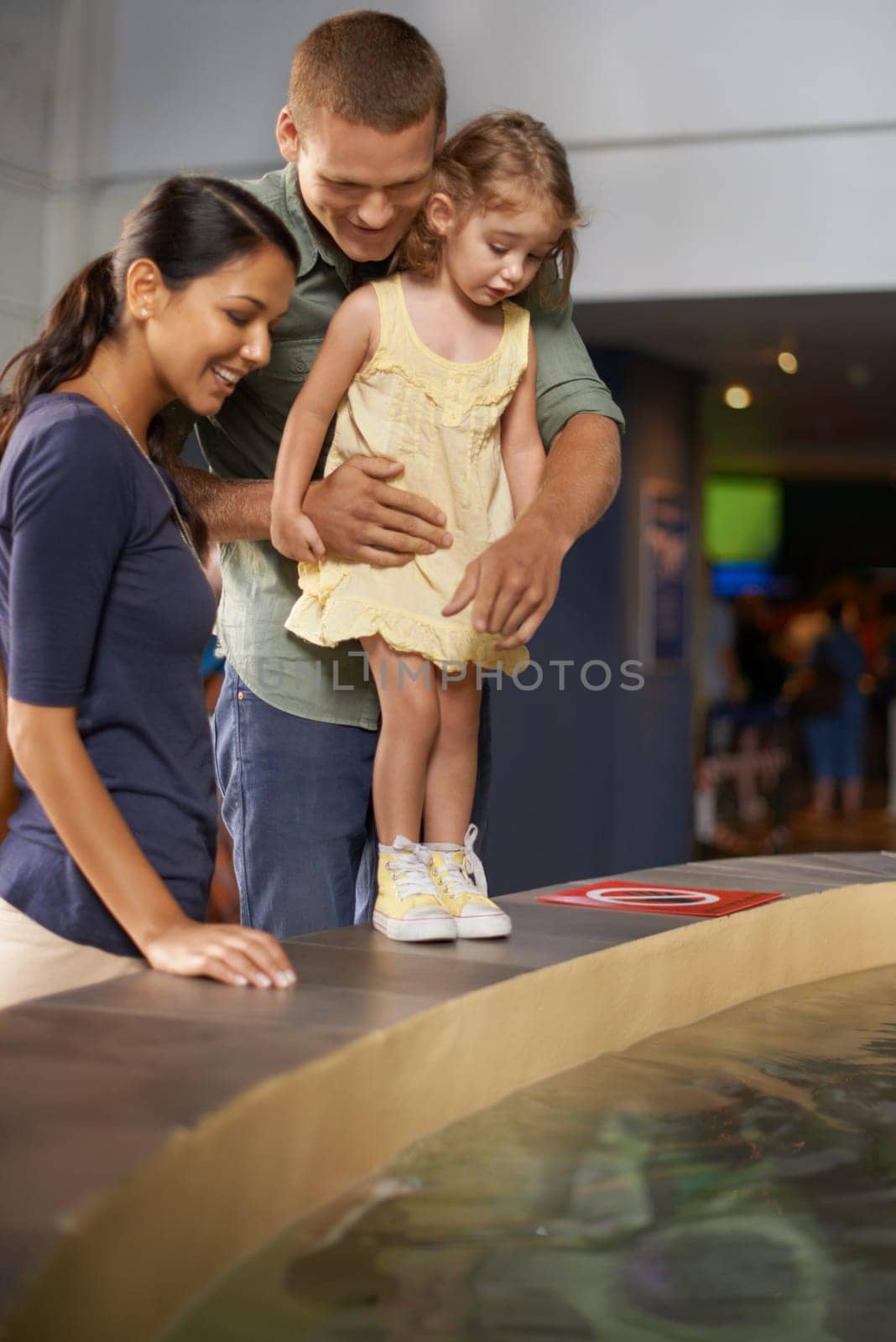 Happy family, little girl and aquarium with water for sightseeing, travel or tour at the zoo. Mother, father and child or kid looking at sea creature, fish or explore exhibit for bonding or holiday.