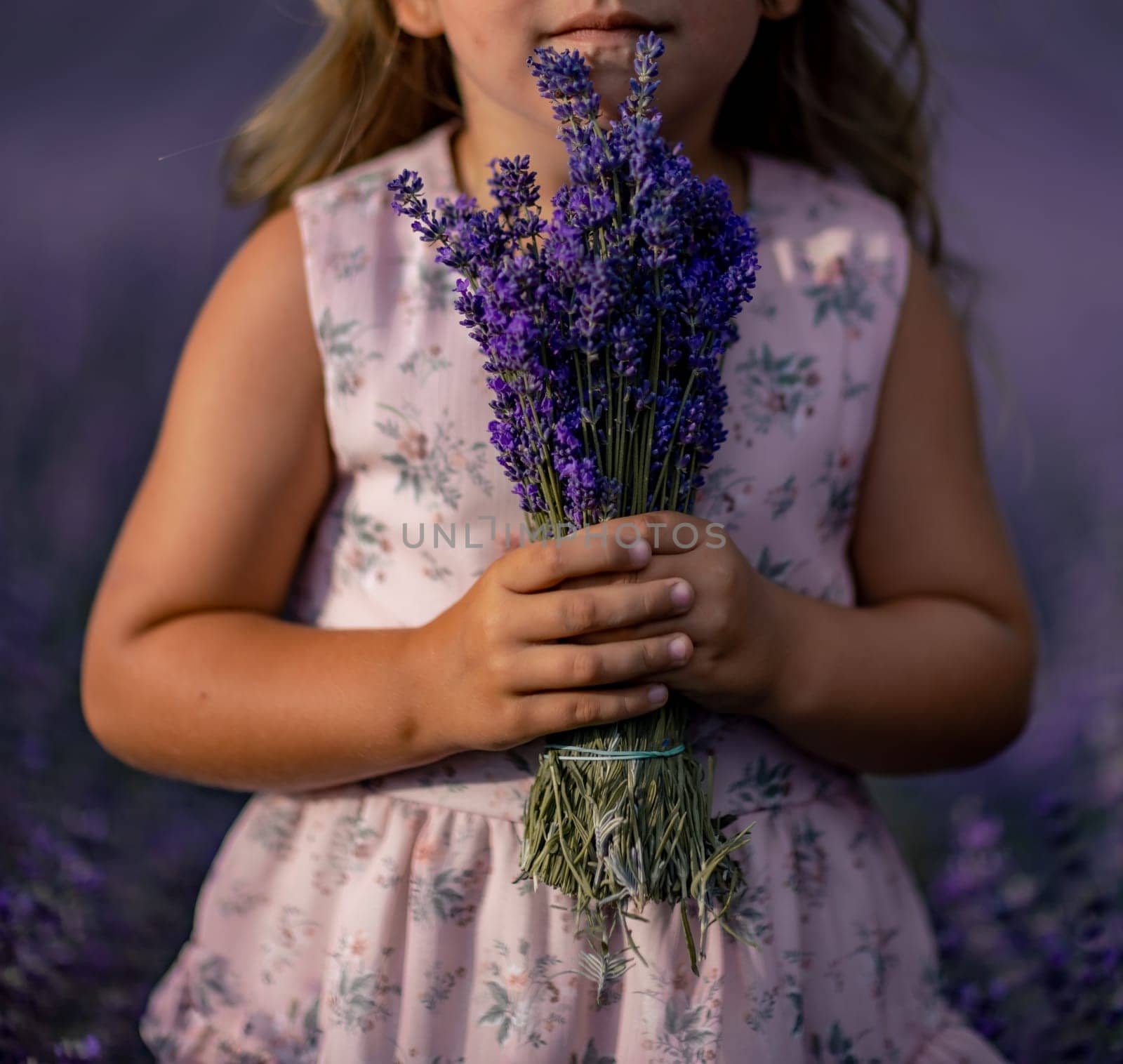 girl lavender field in a pink dress holds a bouquet of lavender on a lilac field. Aromatherapy concept, lavender oil, photo shoot in lavender.