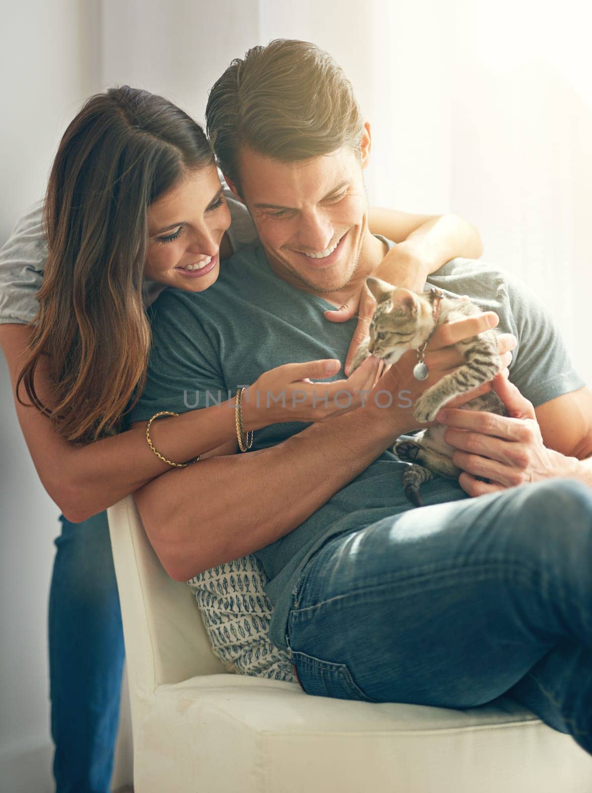 Couple, kitten and happy in home on sofa with hug for love, bonding or care for pet in living room. People, man and woman with kindness, embrace and stroke for baby cat in lounge for animal adoption by YuriArcurs