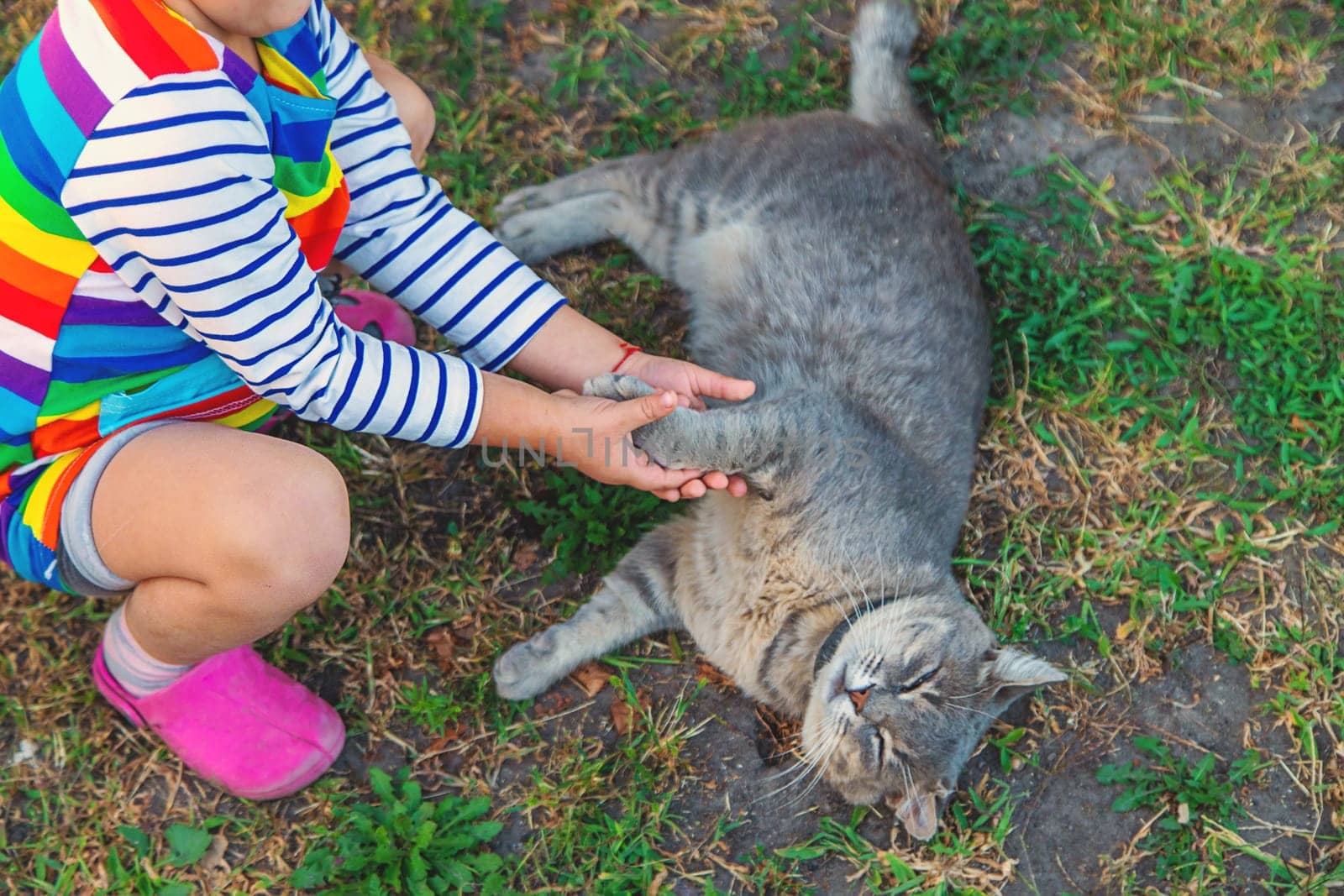 child plays with a cat in nature. Selective focus. by yanadjana