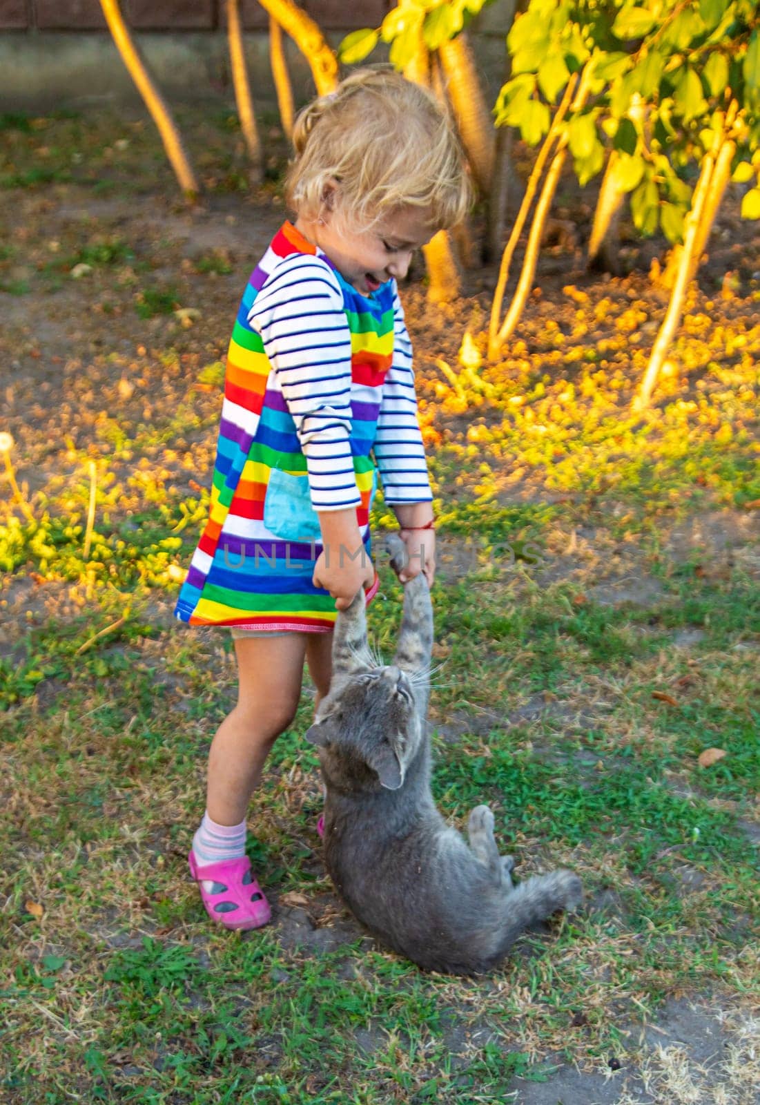 child plays with a cat in nature. Selective focus. kid.