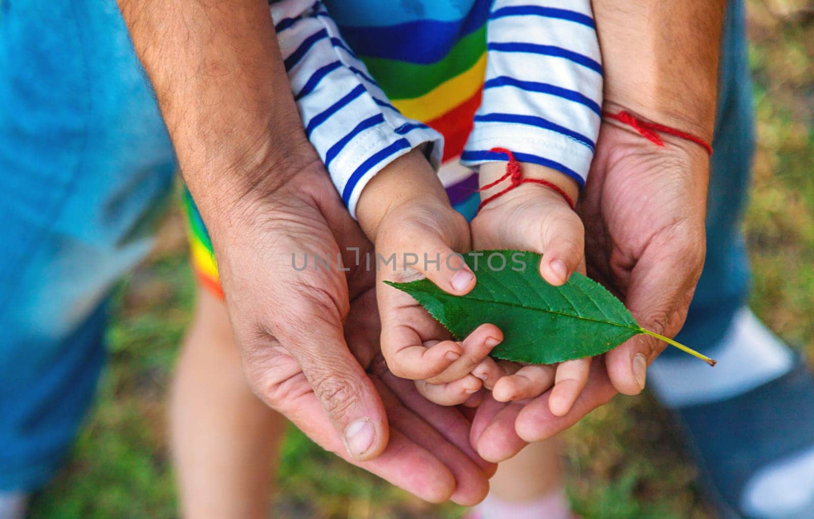 children and parents hold a piece of leaf in their hands. Selective focus. Kids.