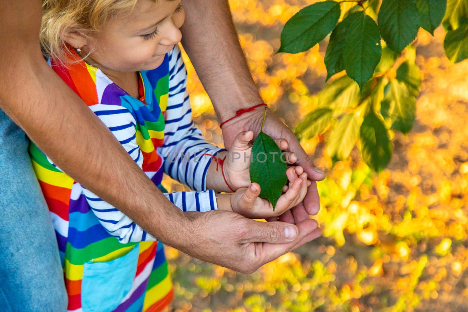 children and parents hold a piece of leaf in their hands. Selective focus. by yanadjana