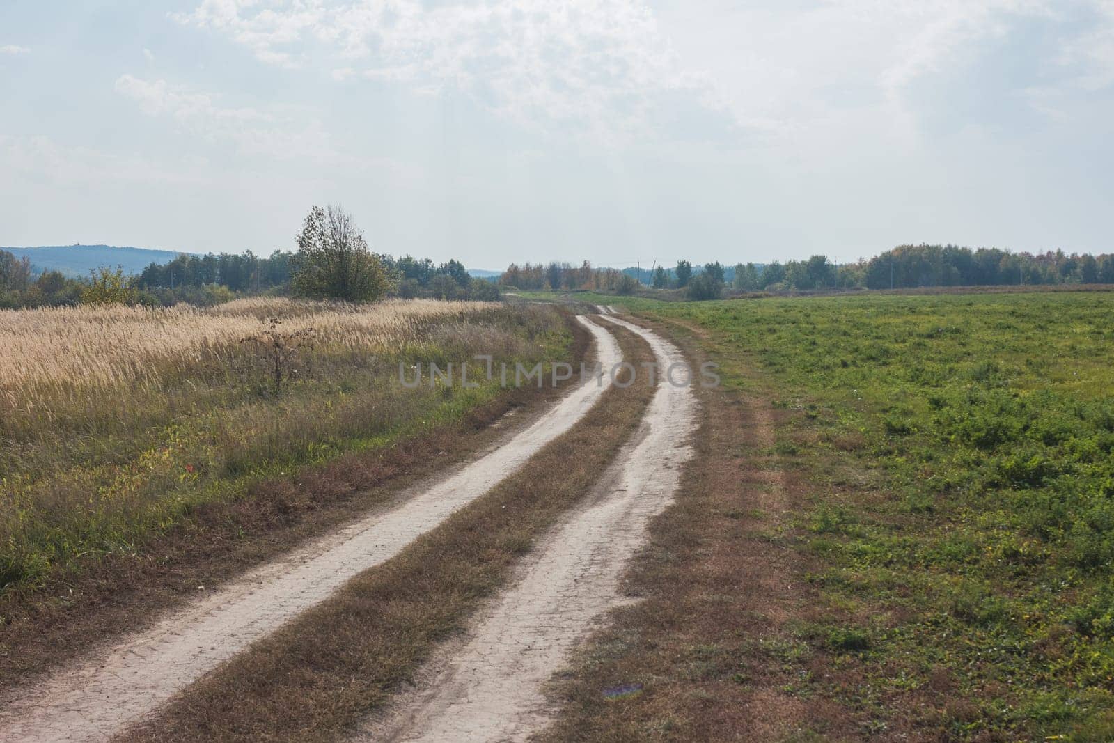 Rural road at summer Meadow - russian countryside landscape by Studia72