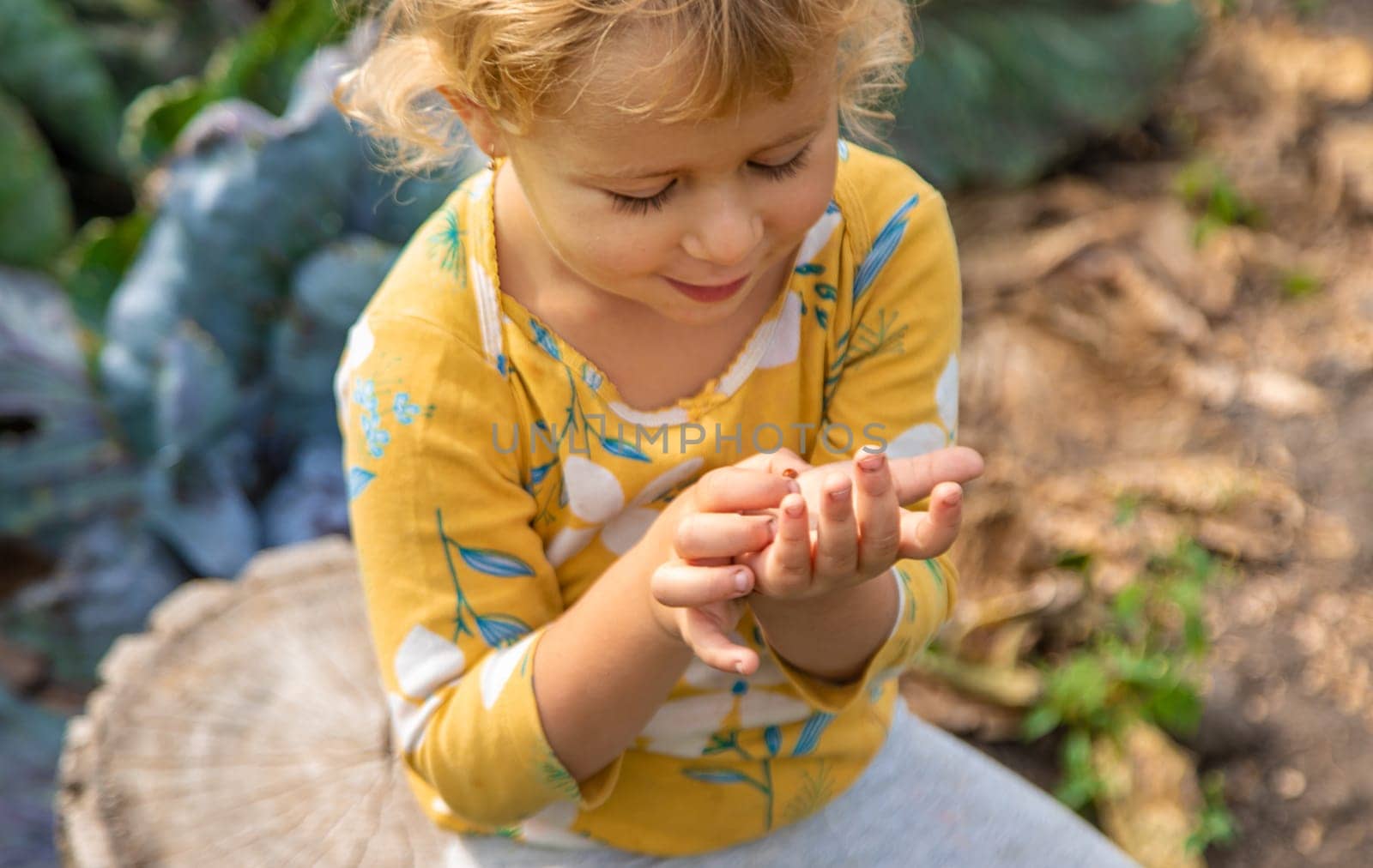 the child holds a ladybug in his hands. Selective focus. by yanadjana