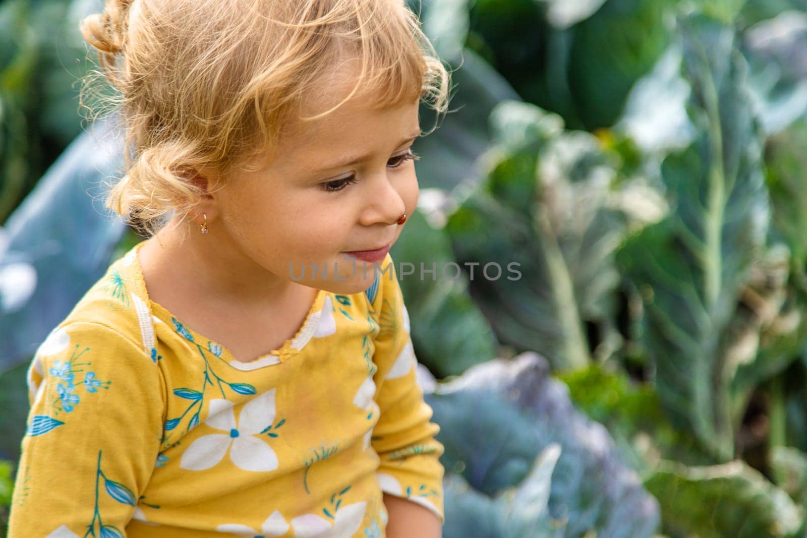 the child holds a ladybug in his hands. Selective focus. nature.