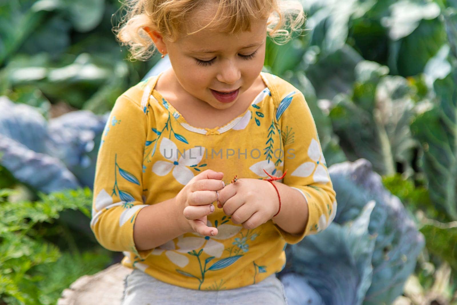 the child holds a ladybug in his hands. Selective focus. by yanadjana