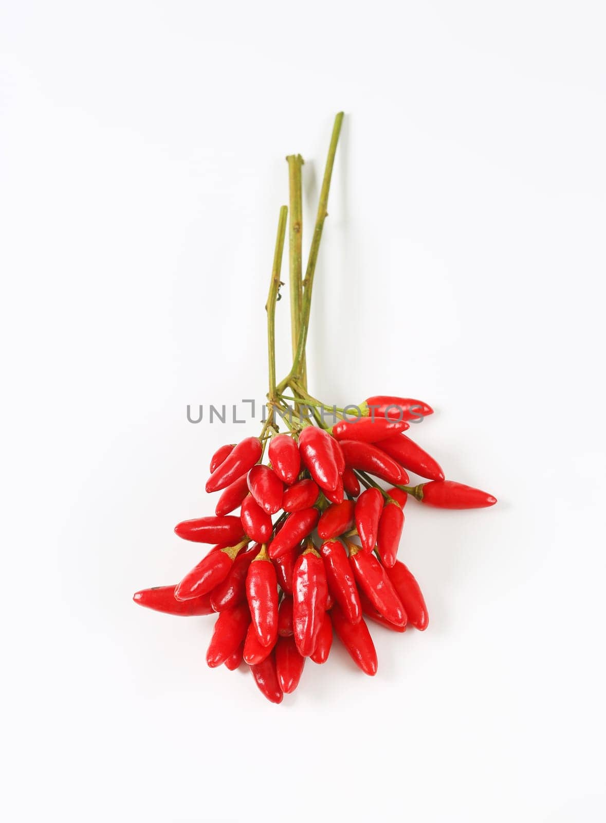 Red chili peppers by Digifoodstock