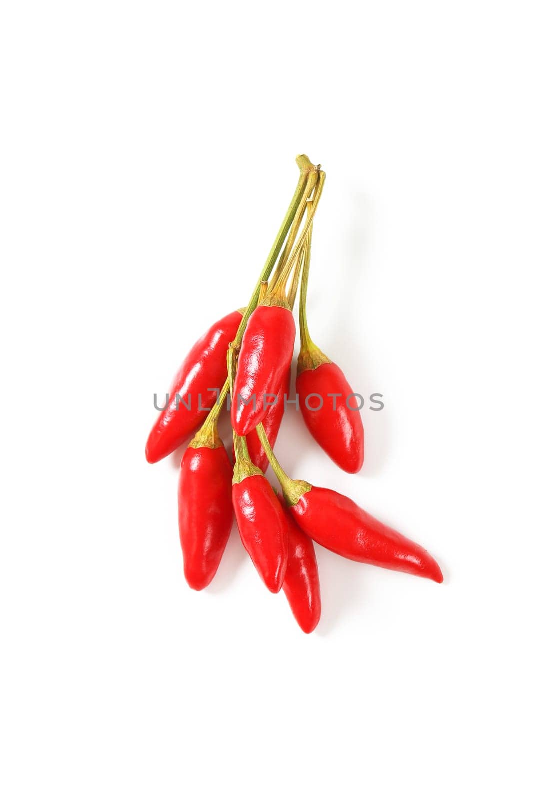 Small red chili peppers on white background