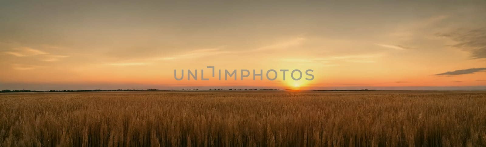 Tranquility of a vast wheat field at sunset, with the warm tones of the sky mirroring the golden hues of the ripe crops