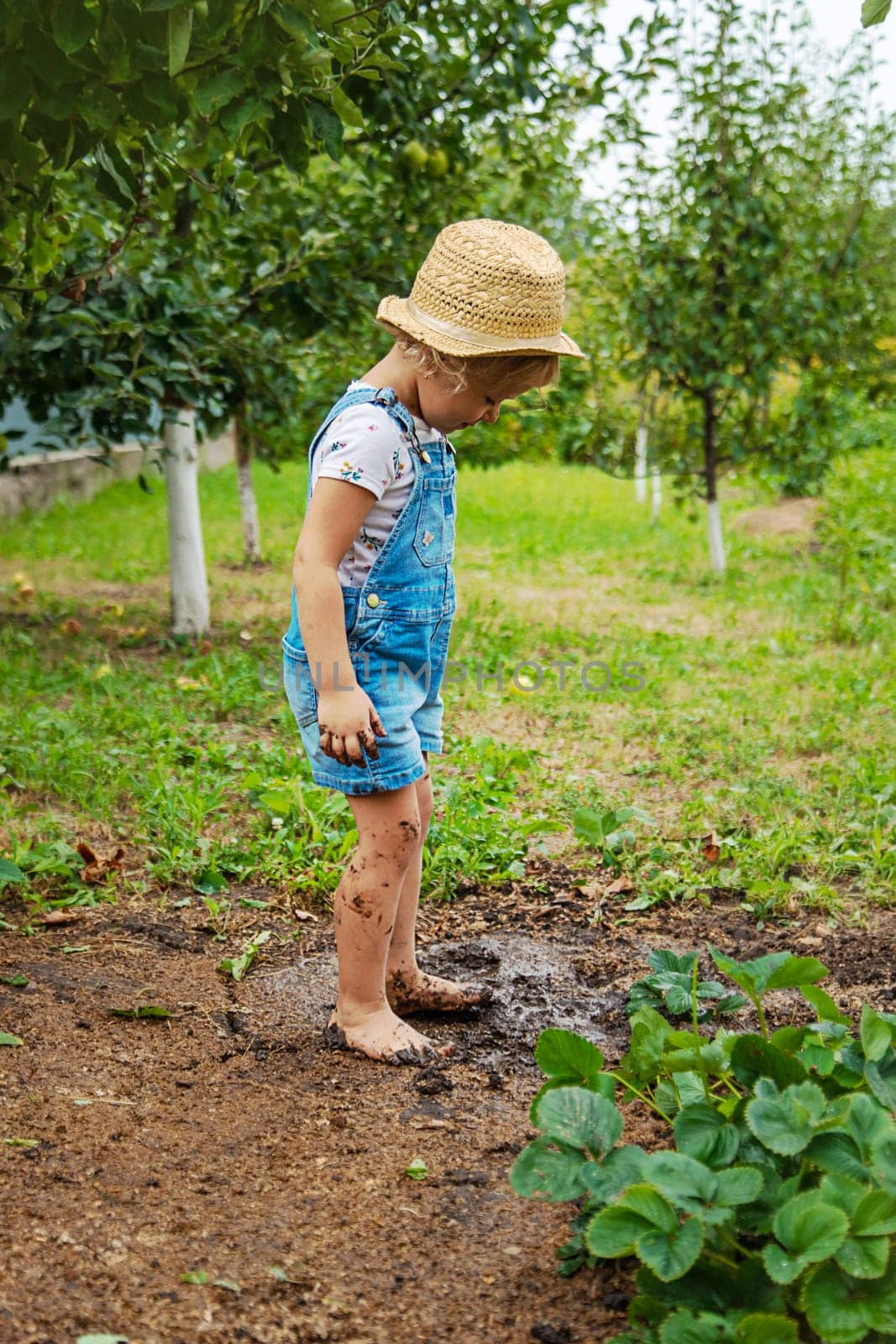 a child in the dirt in the garden holds the soil in his hands. Selective focus. Kid.