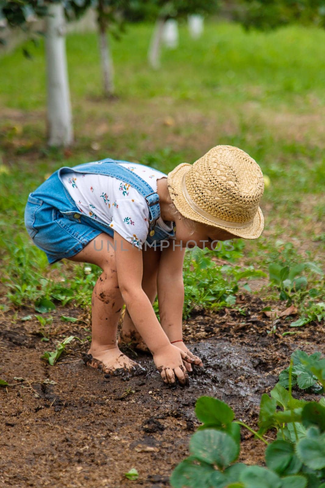 a child in the dirt in the garden holds the soil in his hands. Selective focus. by yanadjana