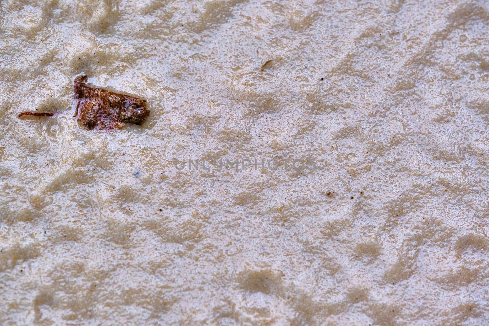 The texture of wet sand. Close-up, top view.