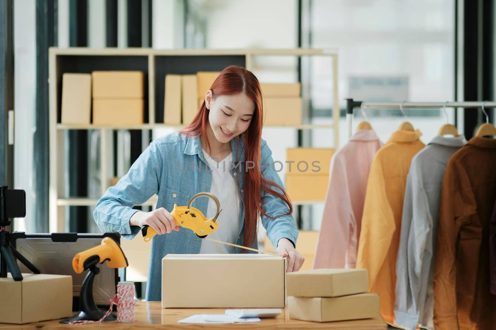 Female small business owner prepare product, order and service logistics by ijeab