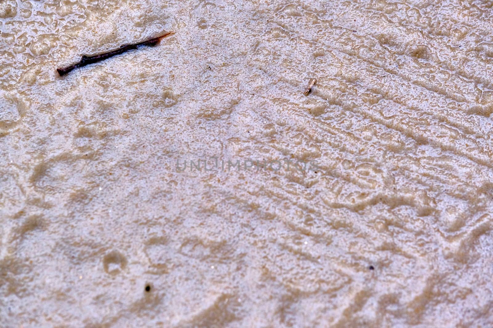 The texture of wet sand. Close-up, top view.